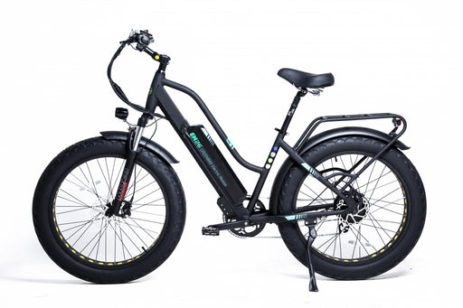 GreenBike EM 26 2021 Edition Electric Bike